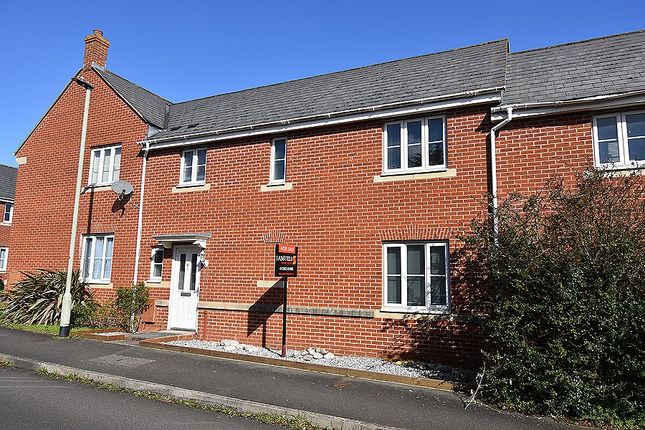 Terraced house for sale in Walsingham Road, Kings Heath, Exeter