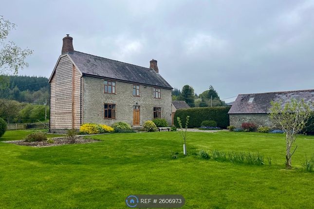 Front Elevation And Front Garden