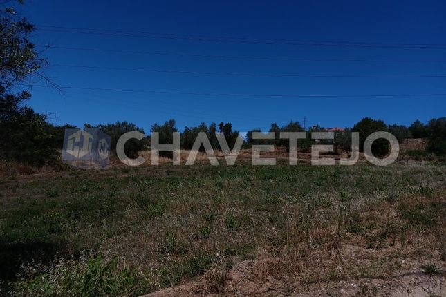 Land for sale in Carril, Serra E Junceira, Tomar