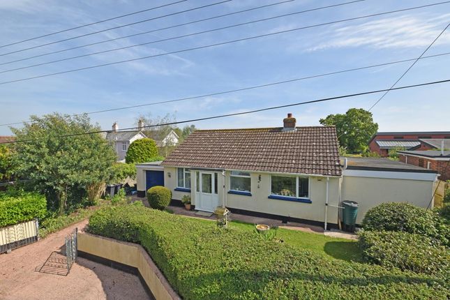 Thumbnail Detached bungalow for sale in Tuns Lane, Silverton, Exeter