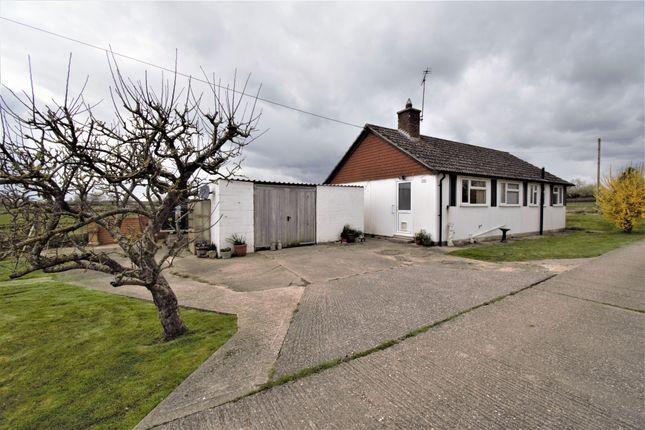 Thumbnail Detached bungalow to rent in Stour Row, Shaftesbury