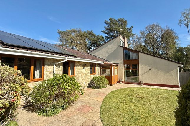 17 Grosvenor Close, Ashley Heath, Ringwood photo 2