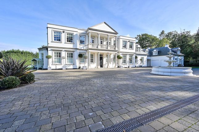 Forest Ridge, Bromley photo 2