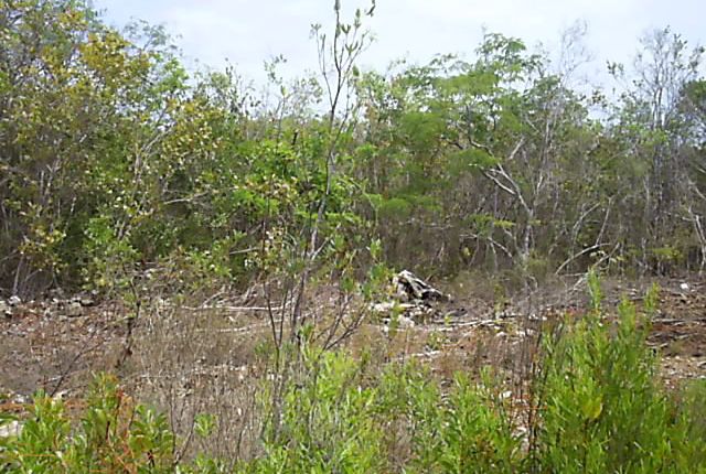 Land for sale in North, Long Island, The Bahamas