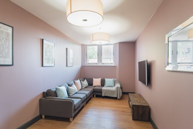 6 Bedroom Flat in EX4 6BP
