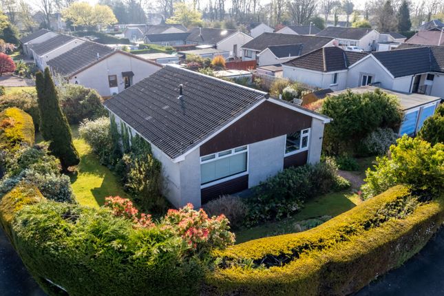 Thumbnail Bungalow for sale in Redford Place, Monifieth, Dundee