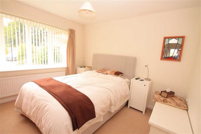 Room For Rent St Leonards Room For Rent St Leonards