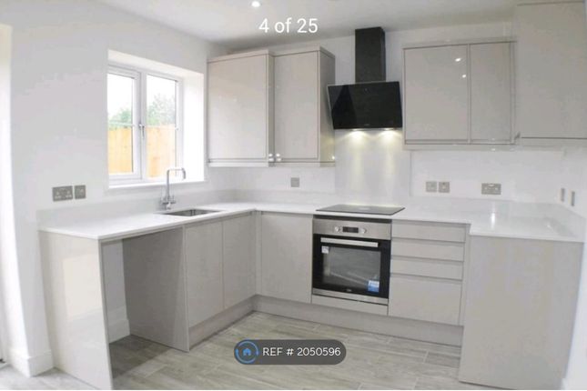 Thumbnail Semi-detached house to rent in Verney Meadow, New Houghton, Mansfield