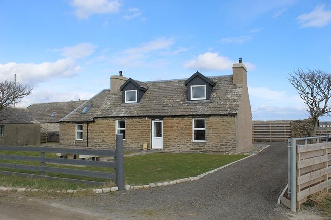 Thumbnail Detached house for sale in Oldwick, Wick