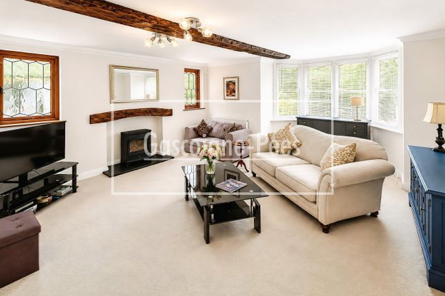 200, Guildford photo 4