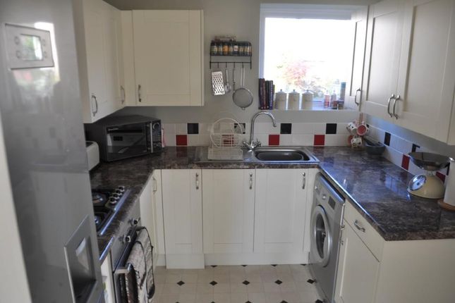 Terraced house to rent in Hilton Road, Ipswich