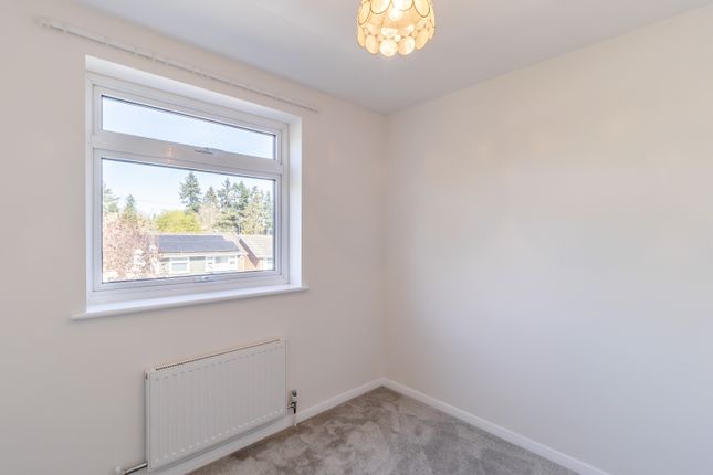 8643607-Interior06