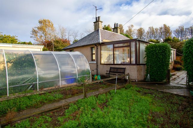 Thumbnail Detached bungalow for sale in Foulden, Berwick-Upon-Tweed