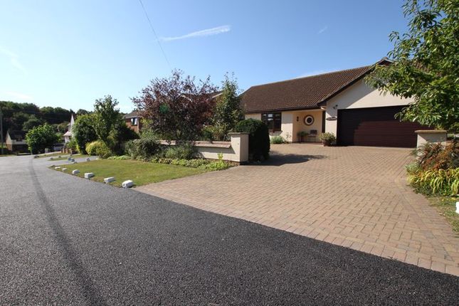 Thumbnail Detached bungalow for sale in St. James Road, Kingsdown, Deal