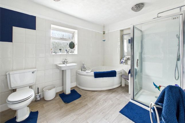 Meadow Vale,, Fox Street, Colchester photo 4
