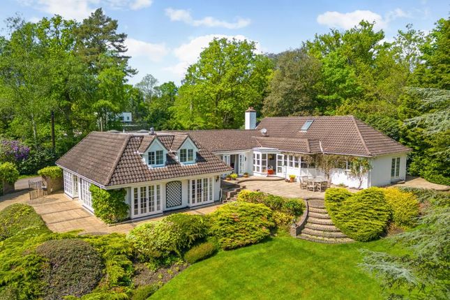 Thumbnail Detached house for sale in Portnall Drive, Wentworth, Virginia Water