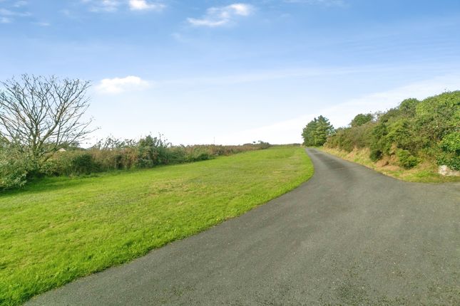 Bryn Mawr, Gwynedd photo 4
