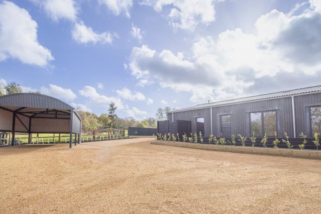Thumbnail Barn conversion for sale in Reepham, Norwich