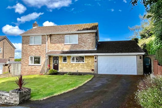 Thumbnail Detached house for sale in Cerdic Close, Chard, Somerset
