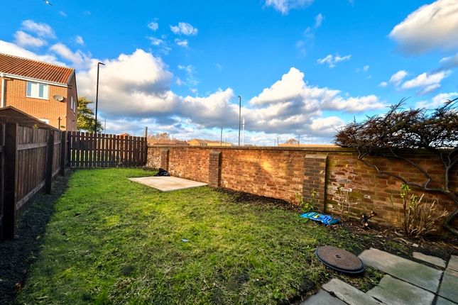 163, North Shields photo 5