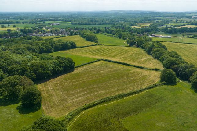 Land for sale in Northchapel, Petworth, West Sussex