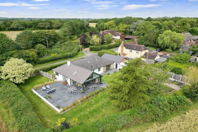 Springwood, Chignal St. James, Chelmsford photo 4