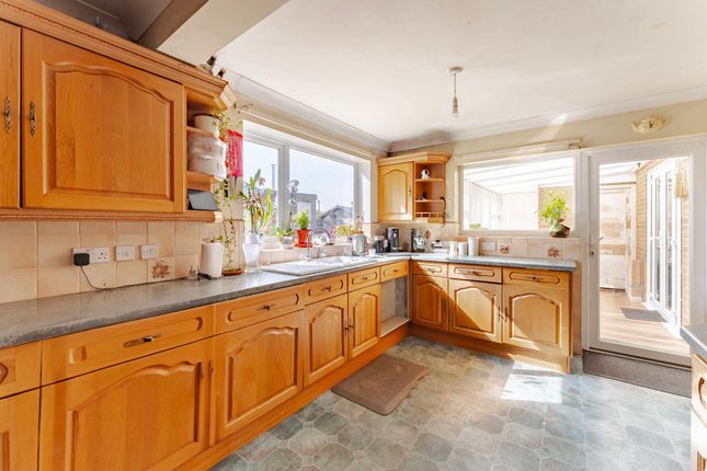 4 Albion Road, Norwich photo 3