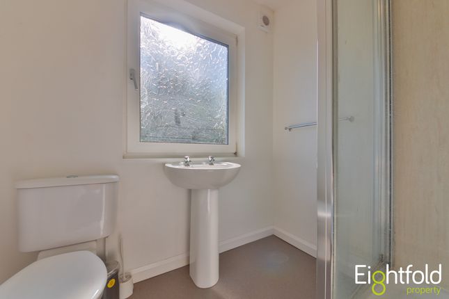 Terraced house to rent in Hollingdean Terrace, Brighton