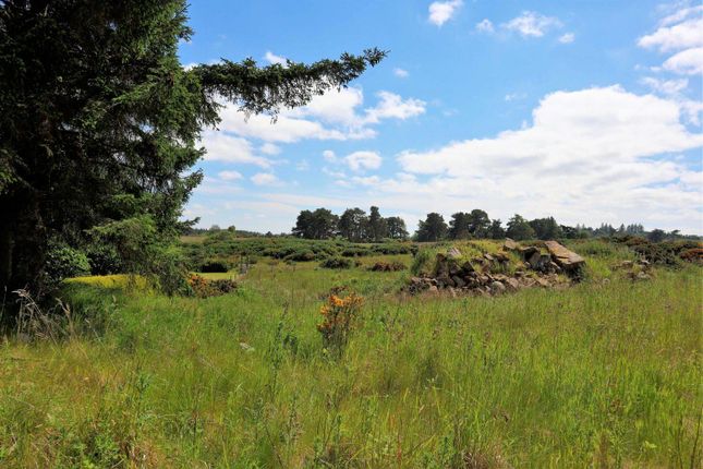 Land for sale in Trentham Farm Steading, Skelbo, Dornoch, Sutherland