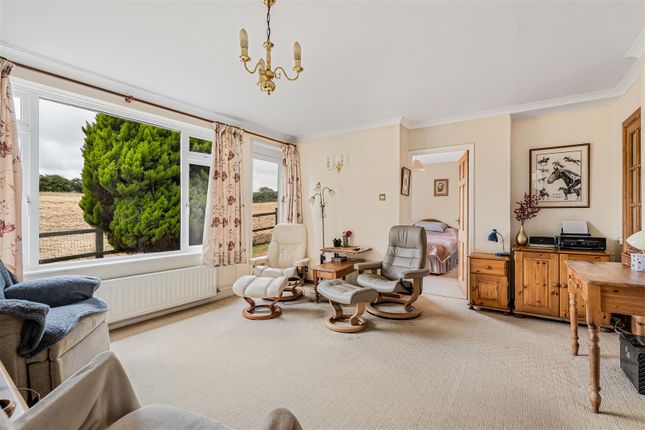 The Bungalow, Silverwell, Blackwater photo 4