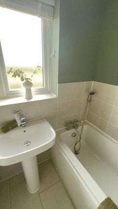 Bright And Modern Bathroom Featuring A Sleek Sink ...