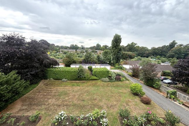 Communal Garden