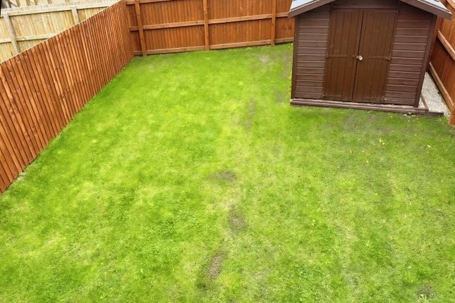Back Garden