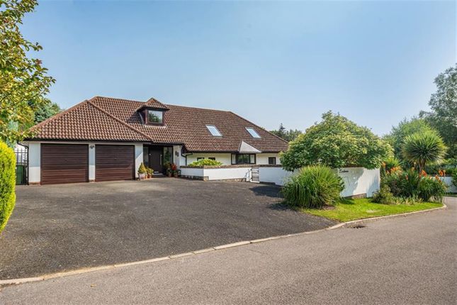 Thumbnail Detached bungalow for sale in Silverwood Copse, West Chiltingon, West Sussex