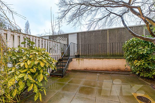 Terraced house to rent in Marlborough Hill, St John's Wood