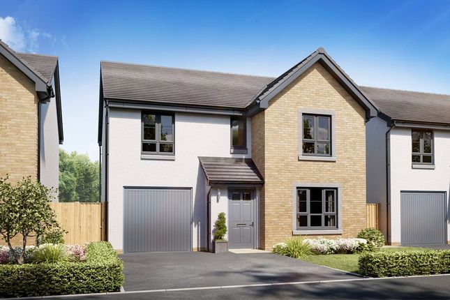 Thumbnail Detached house for sale in "Dean" at Fifeshill Drive, Aberdeen