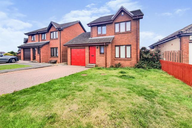 Rdc0229Levi Lead.Jpg