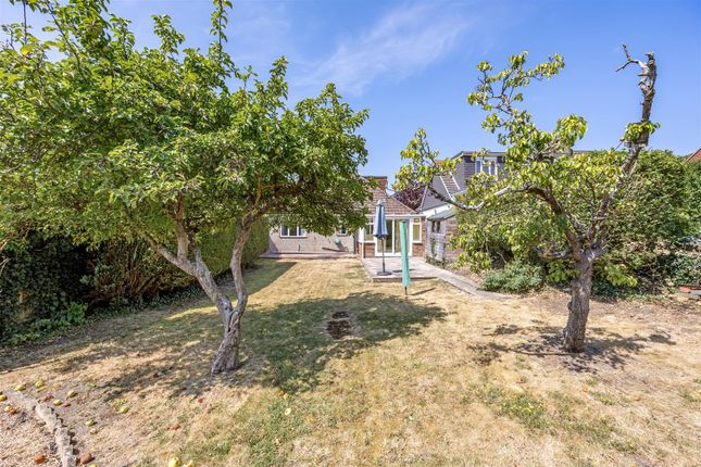 8, Heston Avenue, Brighton photo 3