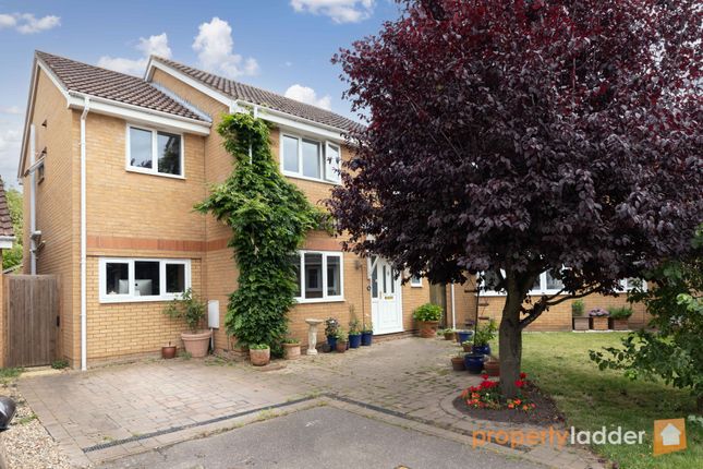 Thumbnail Detached house for sale in Harvest Close, Hainford, Norwich