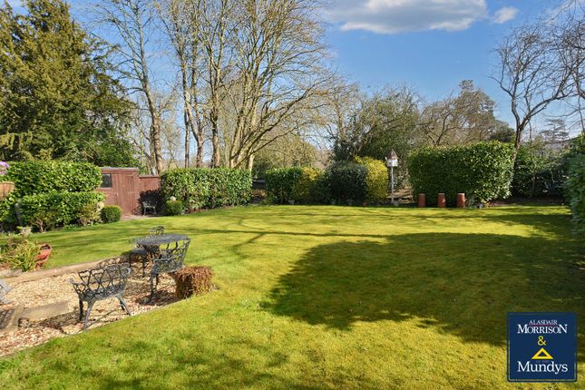 Garden.