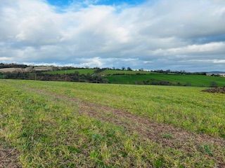 Land for sale in Hoarwithy, Hereford