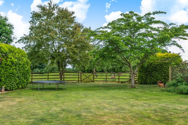 Garden And Orchard