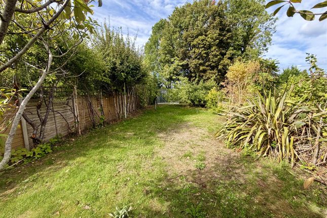 33, Devizes Road, Swindon photo 2