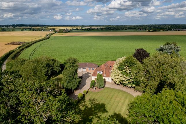 Thumbnail Detached house for sale in Toad Lane, Great Plumstead, Norwich