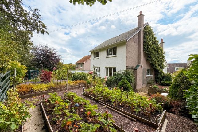 77 St. Ronans Drive, Peterculter photo 3