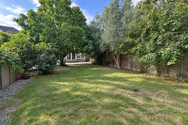 Douglas Road, SURBITON photo 2
