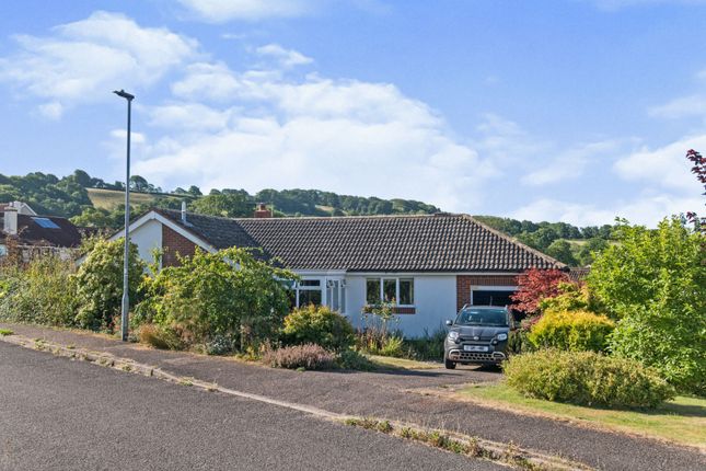 Thumbnail Bungalow for sale in Cembra Close, Honiton
