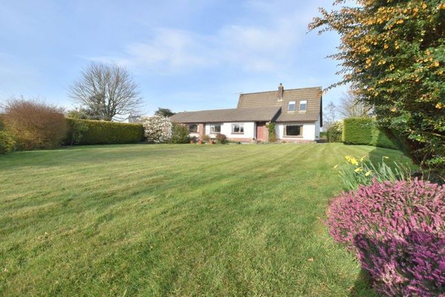 4 bed country house for sale in Saron, Llandysul, Carmarthenshire, 5Dy SA44