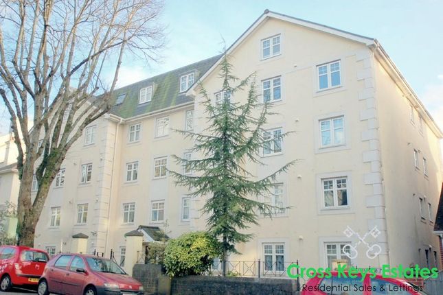 More Property Information