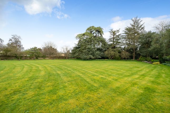 Grounds